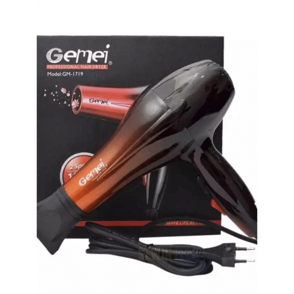 Geemy GM-1719 Professional Hair Dryer